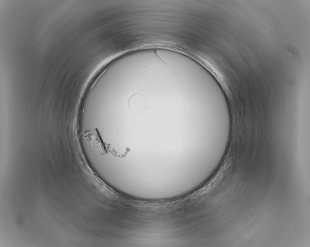 X0000110980948200907310946