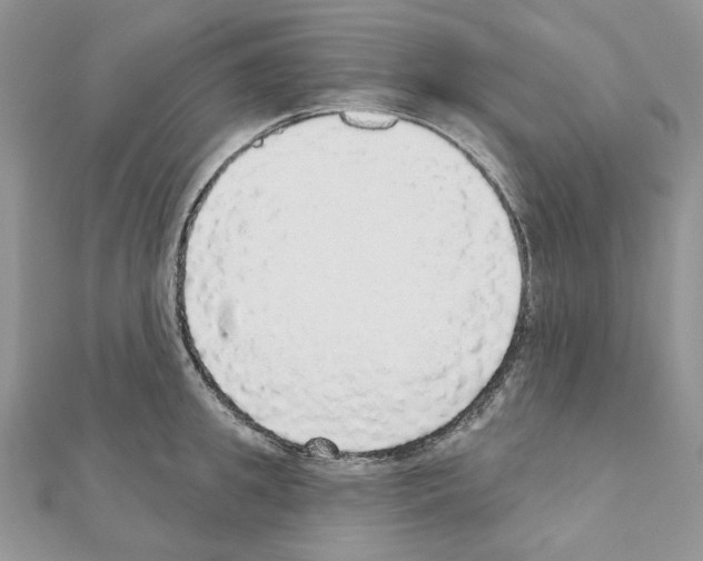 X0000110980949200907310946