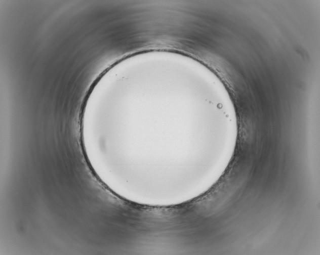 X0000110980950200907310946