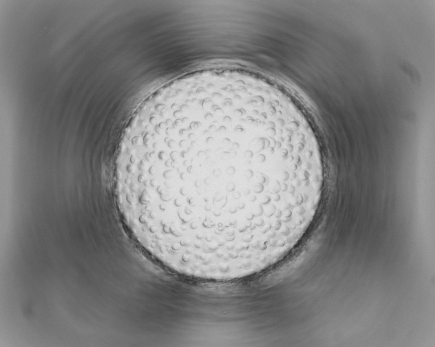 X0000110980953200907310947