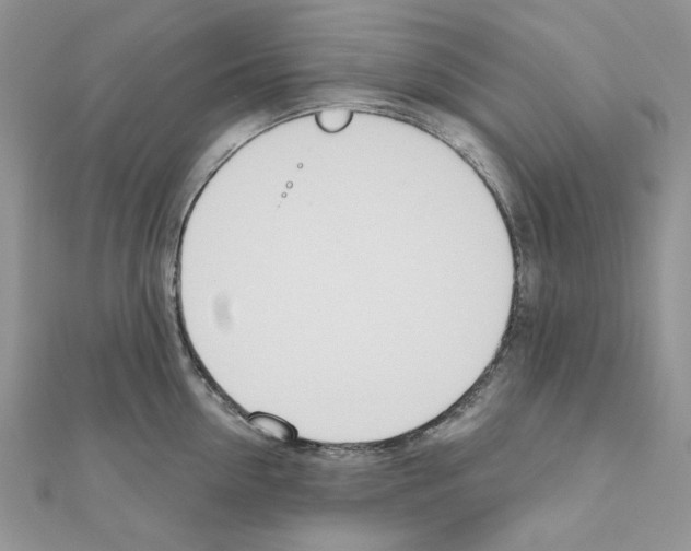 X0000110980954200907310947