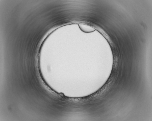 X0000110980955200907310947