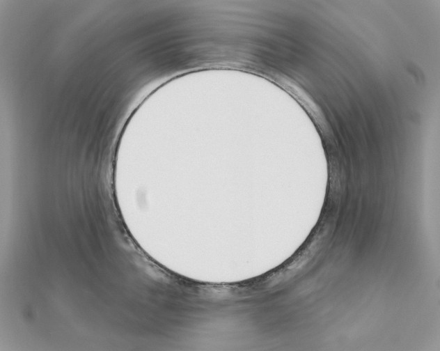 X0000110980956200907310947