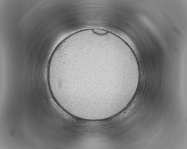 X0000110980958200907310947