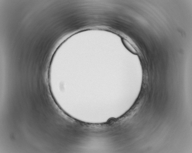 X0000110980959200907310947
