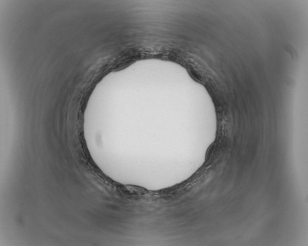 X0000110980961200907310946