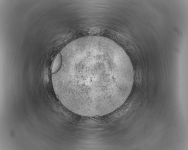 X0000110980962200907310946