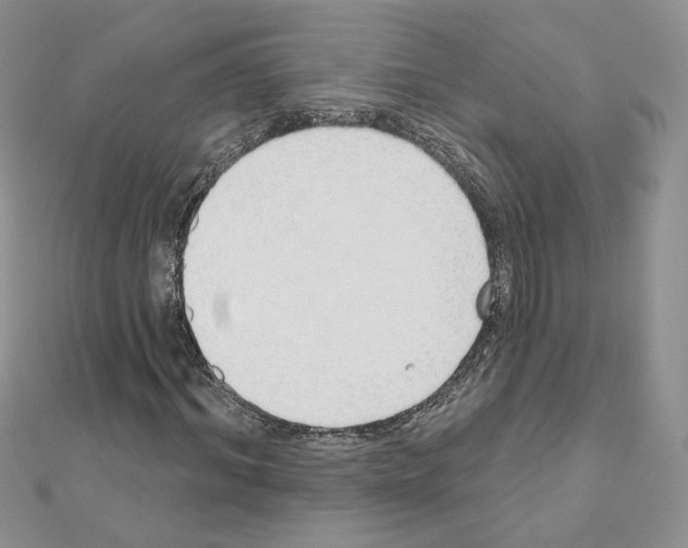 X0000110980964200907310946