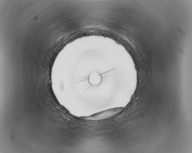 X0000110980965200907310946