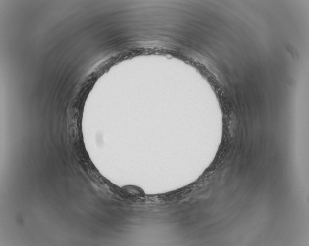 X0000110980968200907310946