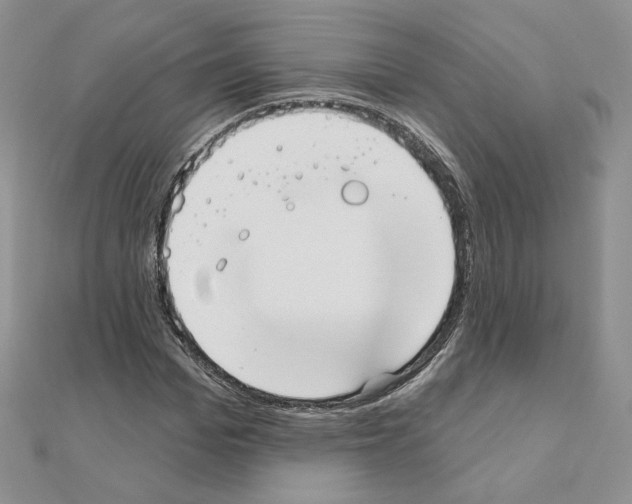 X0000110980969200907310946