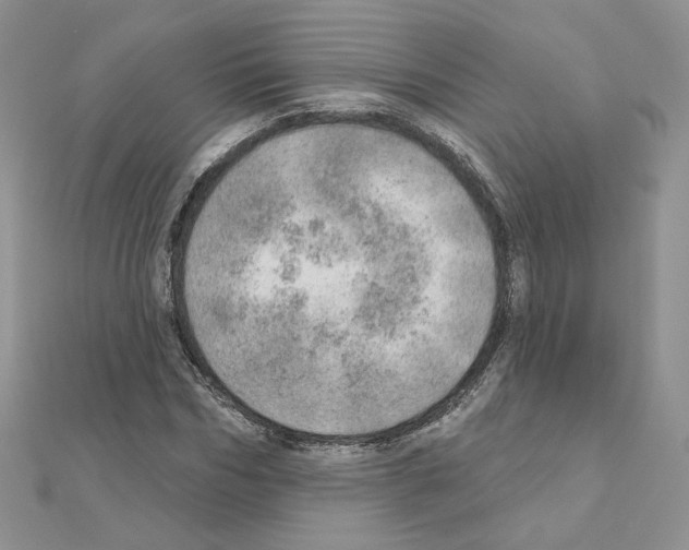 X0000110980970200907310946