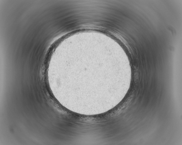 X0000110980971200907310946