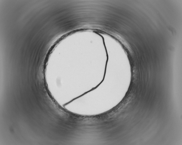 X0000110980972200907310946