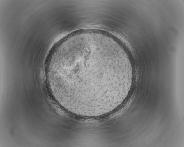 X0000110980974200907310946