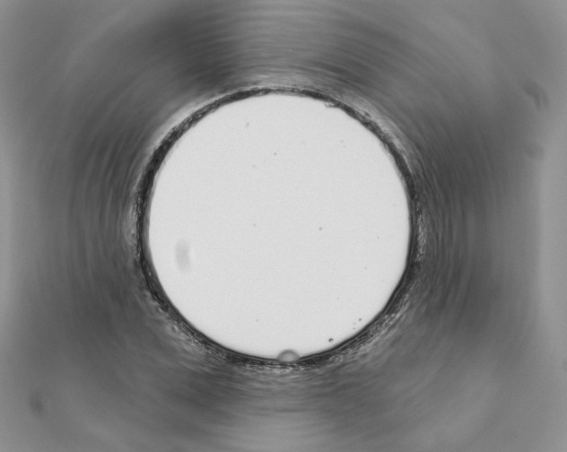 X0000110980975200907310946
