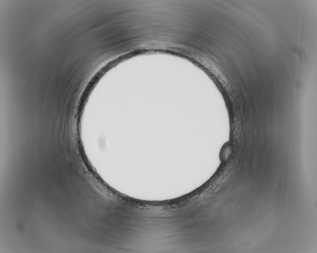 X0000110980976200907310946