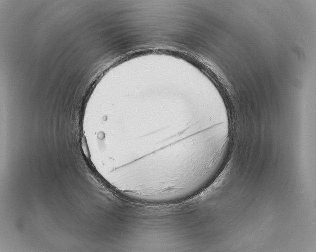 X0000110980977200907310946