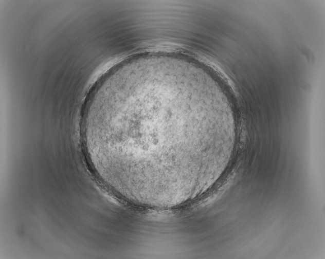 X0000110980978200907310946