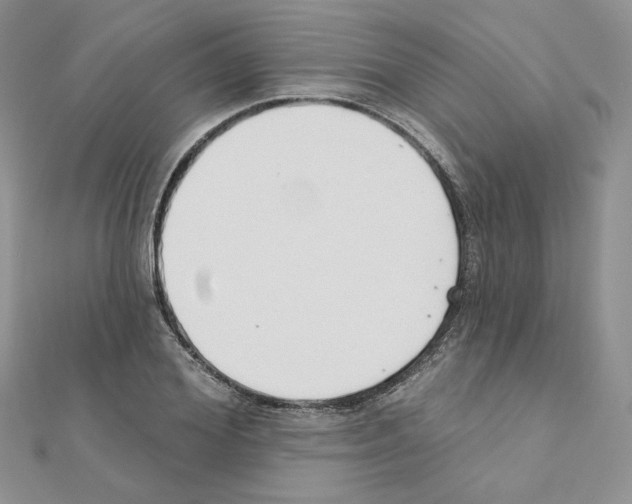 X0000110980980200907310946