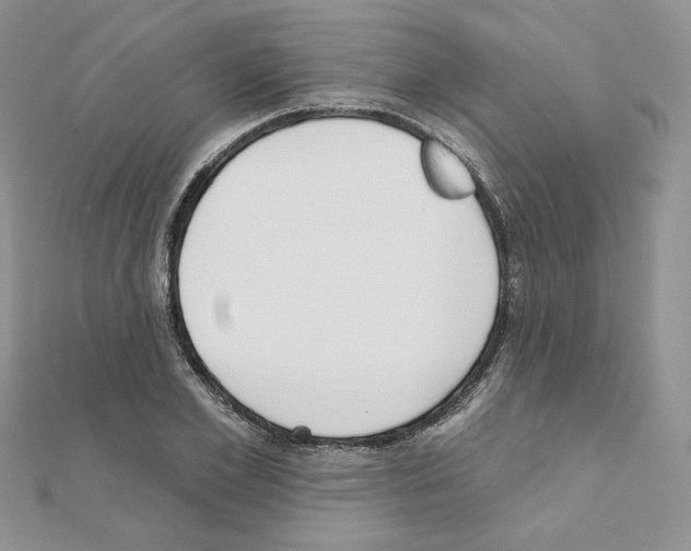 X0000110980981200907310946