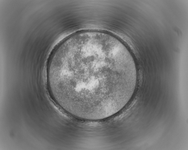 X0000110980982200907310946