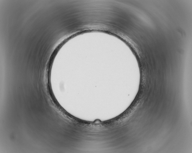 X0000110980983200907310946