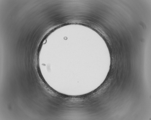 X0000110980984200907310946