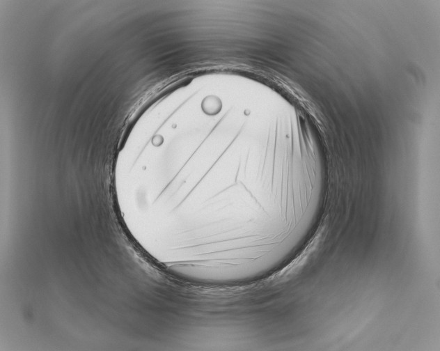 X0000110980985200907310946
