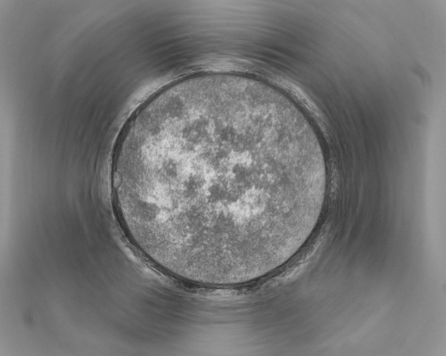 X0000110980986200907310946