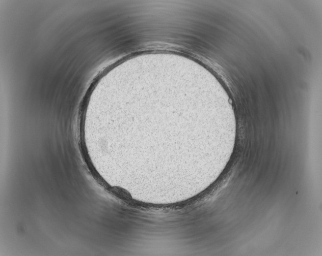 X0000110980987200907310946