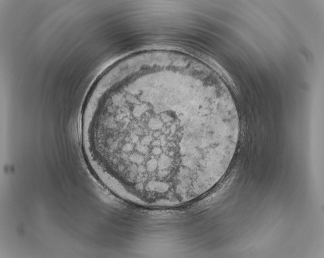 X0000110980988200907310946