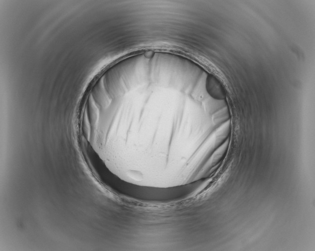 X0000110980989200907310946