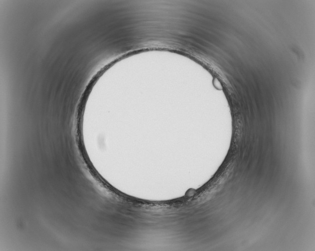 X0000110980991200907310946