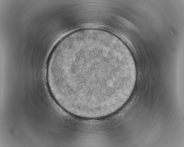 X0000110980992200907310946