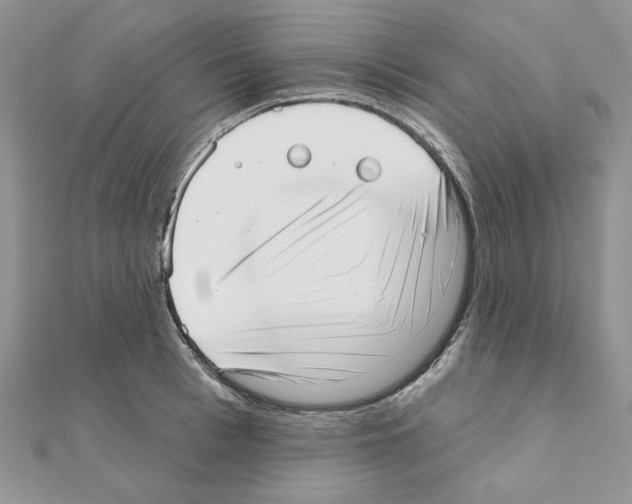 X0000110980993200907310946