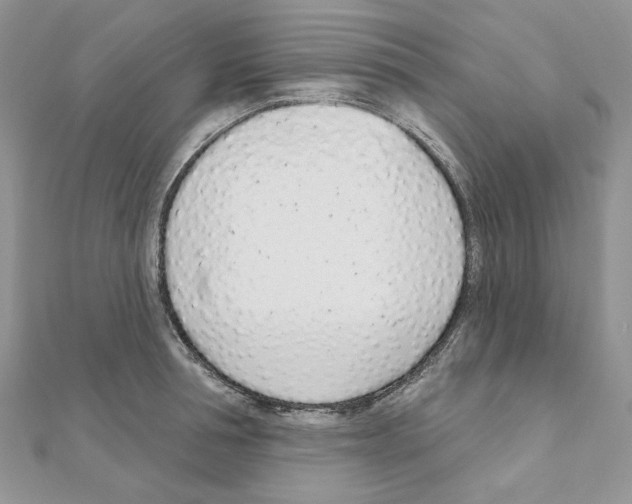 X0000110980994200907310946
