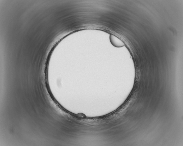X0000110980995200907310946