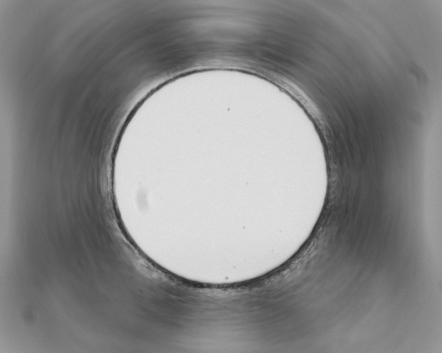 X0000110980996200907310946
