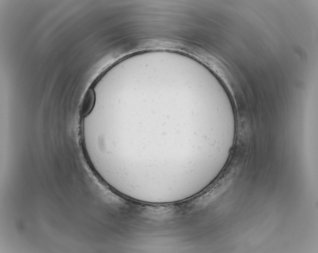 X0000110980997200907310946