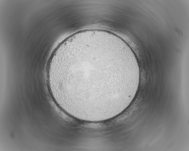 X0000110980998200907310946