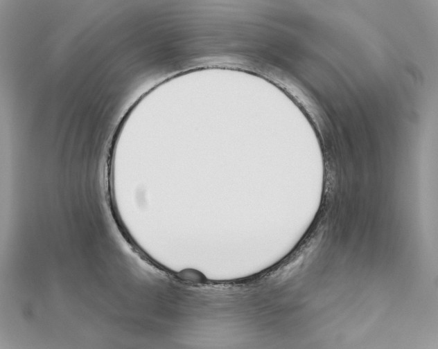 X0000110980999200907310946