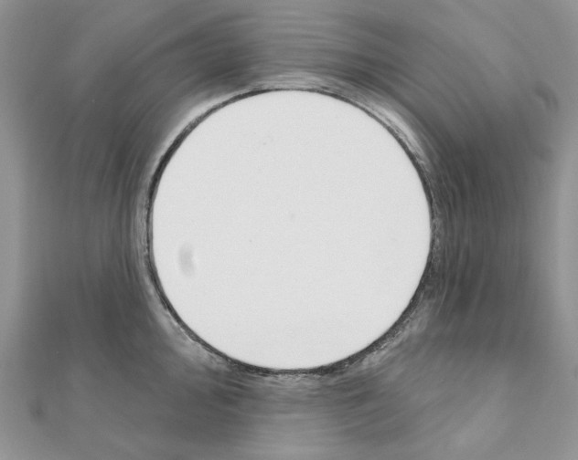 X0000110981000200907310946