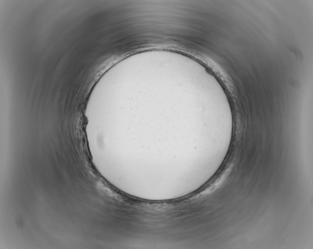 X0000110981001200907310945
