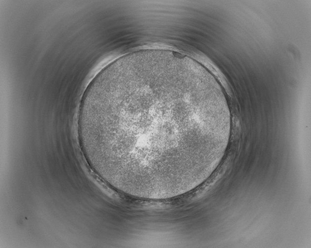 X0000110981002200907310945