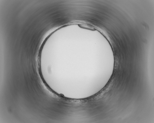 X0000110981003200907310945