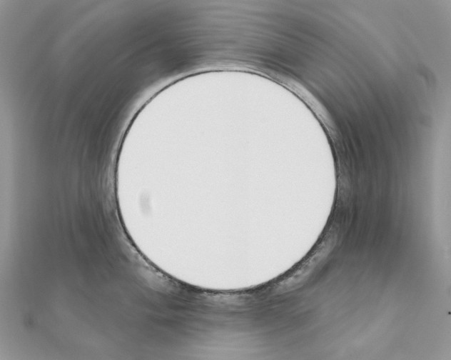 X0000110981004200907310945