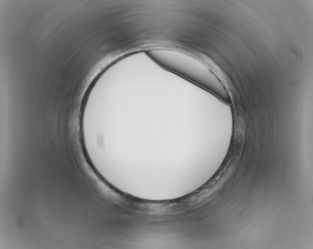 X0000110981005200907310945