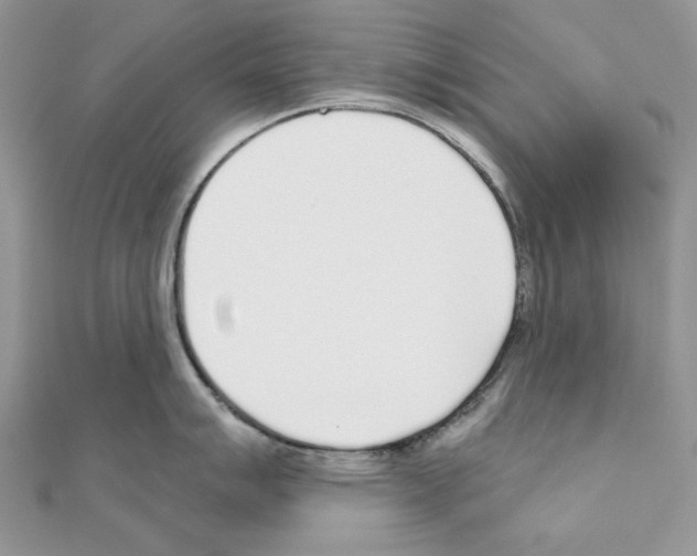 X0000110981007200907310945
