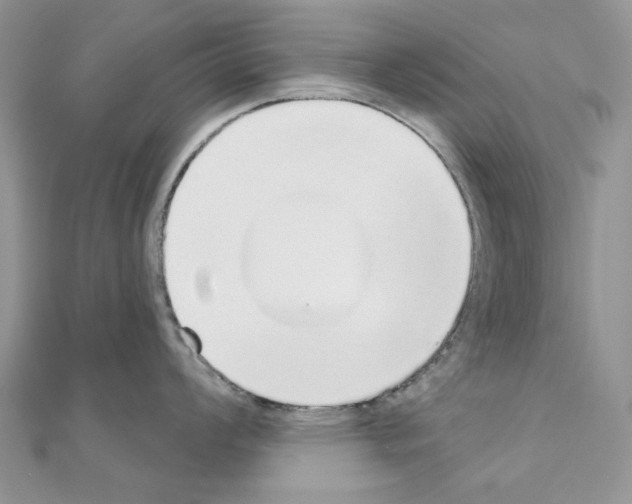 X0000110981008200907310945
